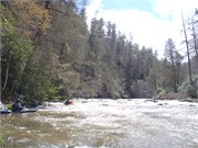 Spring Creek 57